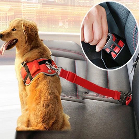 Tesla Telescopic Traction Rope for Pets
